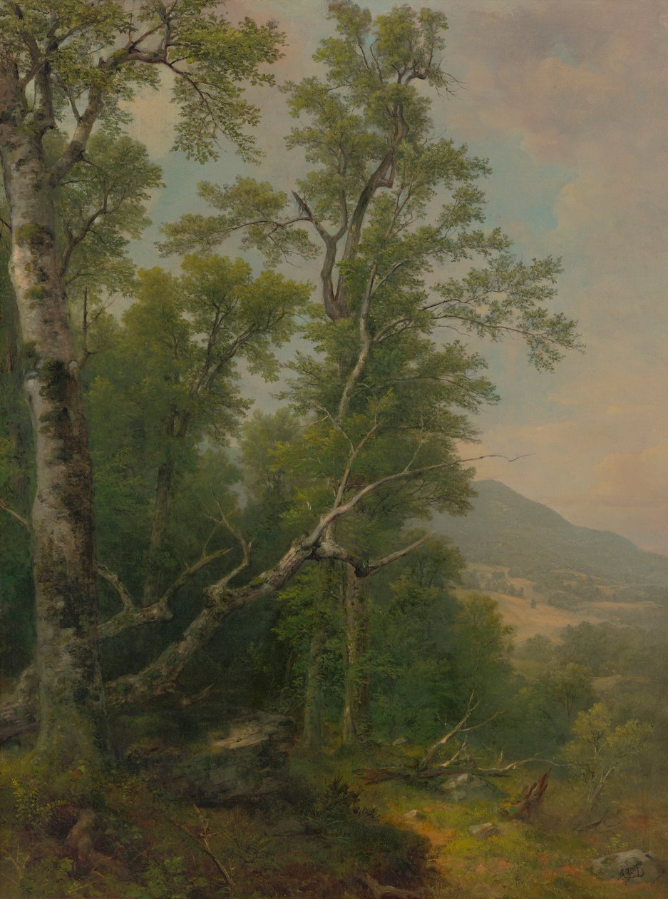 Ağaçların Çalışması by Asher Brown Durand