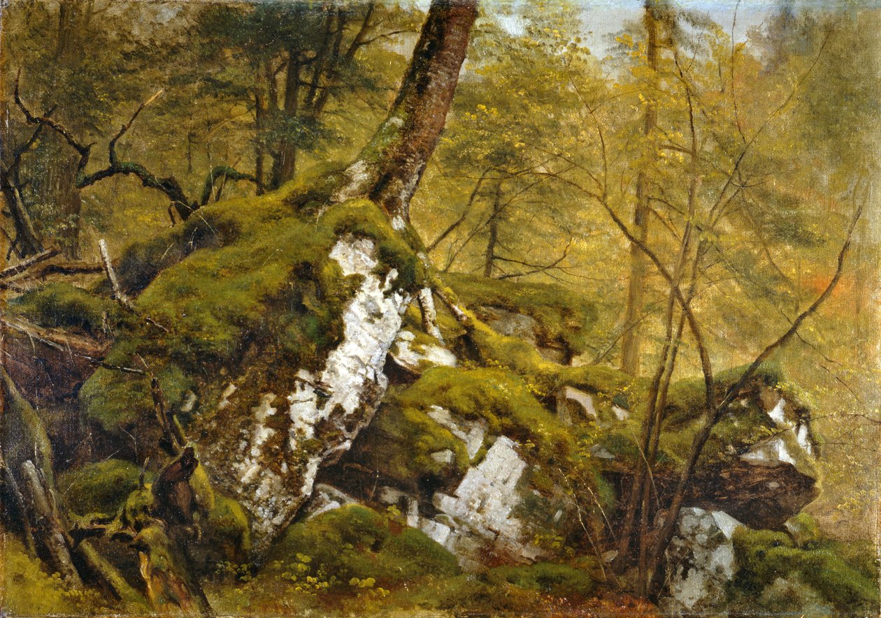 Ahşap İç Mekan Çalışması, c.1855 by Asher Brown Durand