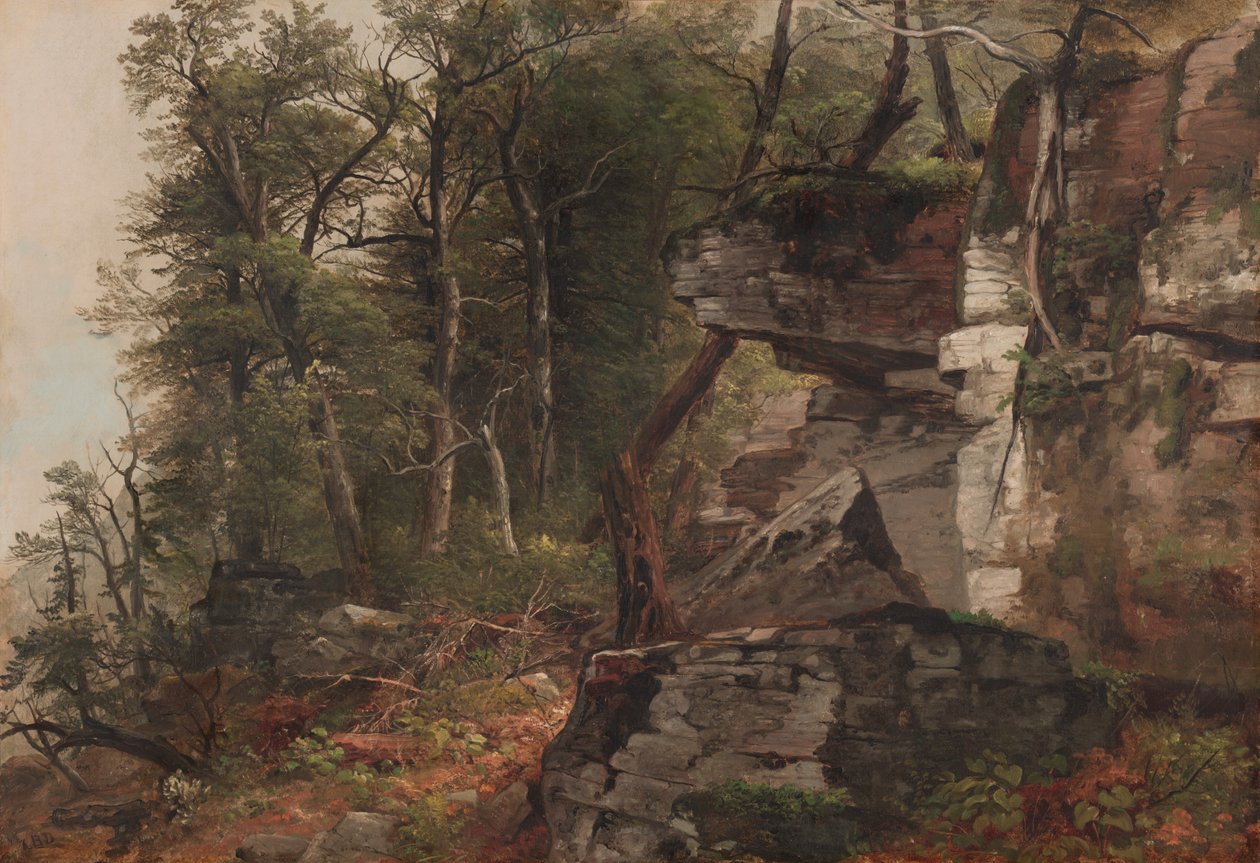 Rocky Hillside Ağaçlar by Asher Brown Durand