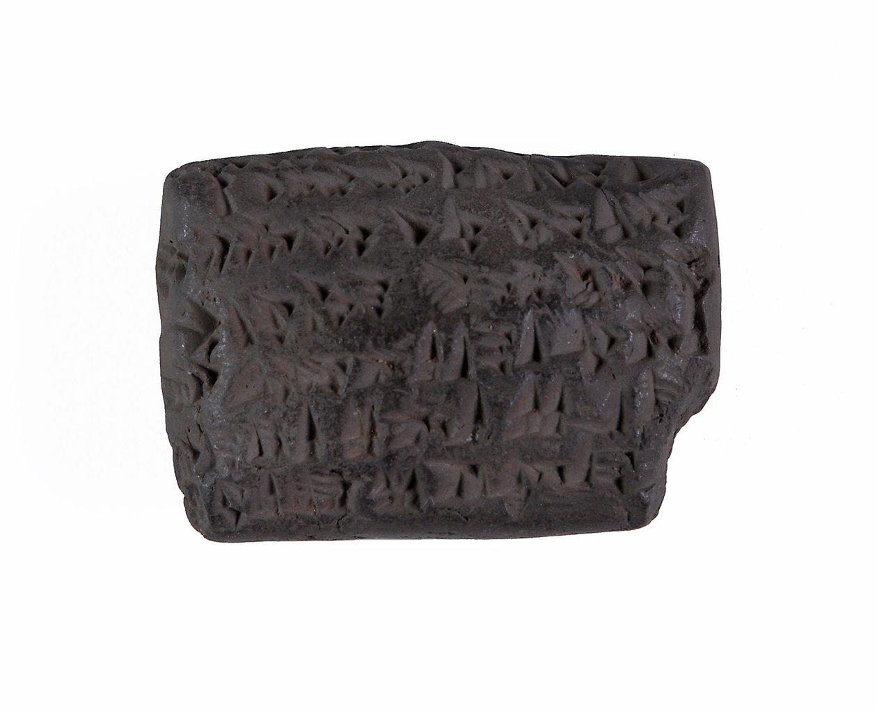 Çivi Yazısı Tablet, MÖ 502 (pişmiş kil) by Assyrian