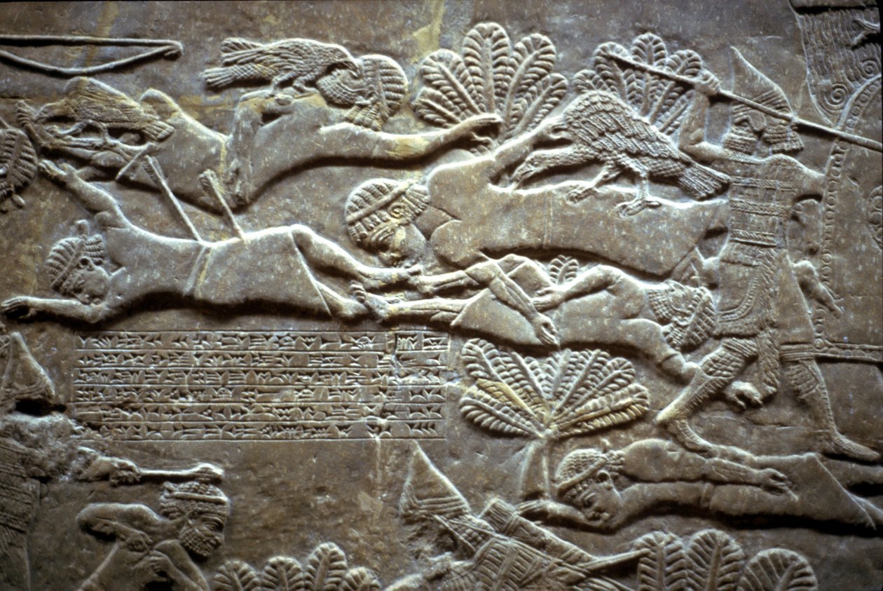 Asurbanipal, Til-Tuba Savaşı