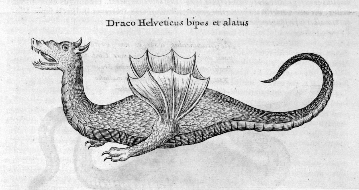 ejderha, 1678 by Athanasius Kircher