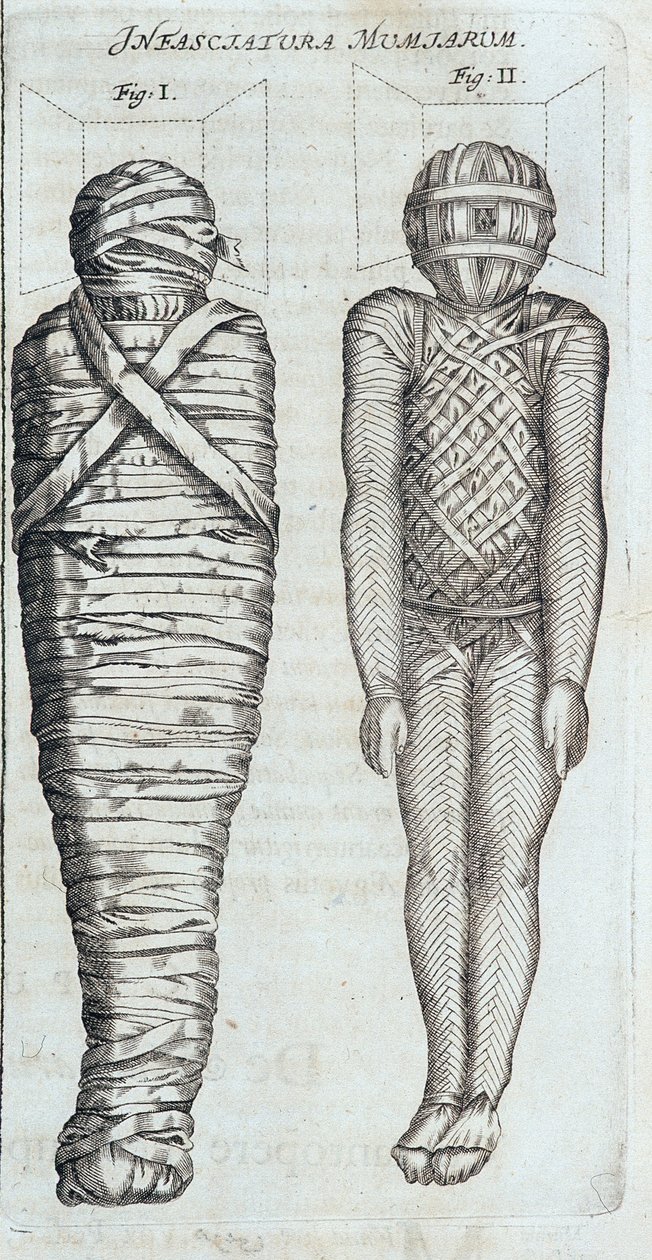 Mumyalar - Athanase Kircher tarafından “” Sphynx mystagoga” da by Athanasius Kircher