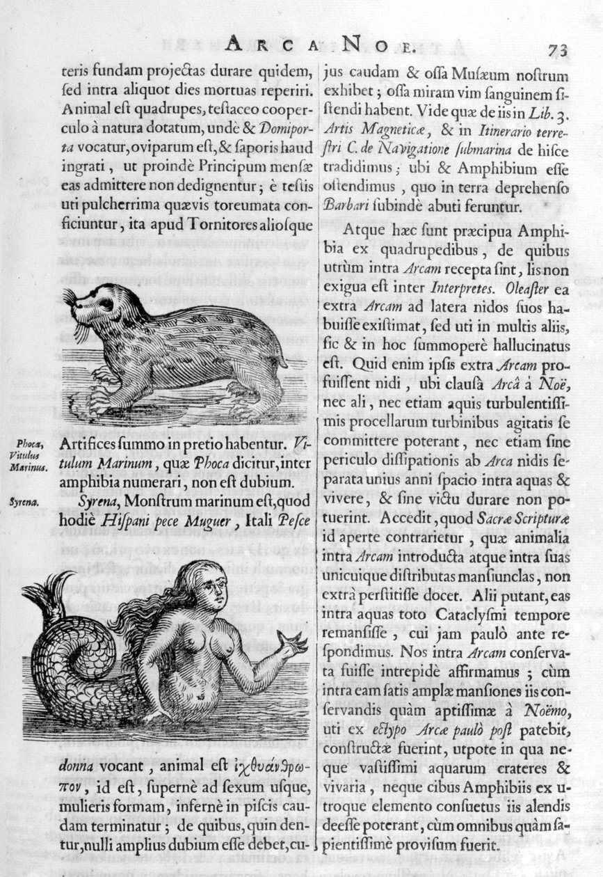 Efsanevi yaratıklar, 1675. by Athanasius Kircher