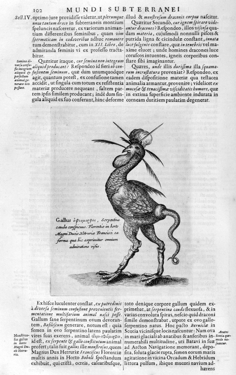 Efsanevi yaratıklar, 1678. by Athanasius Kircher