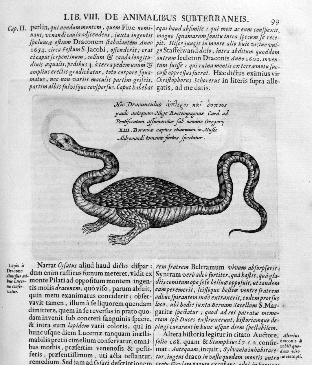 Küçük ejderha, 1678 by Athanasius Kircher