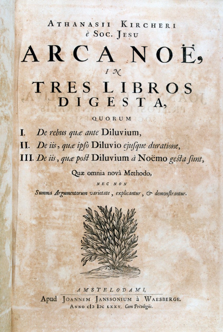 Arca Noe