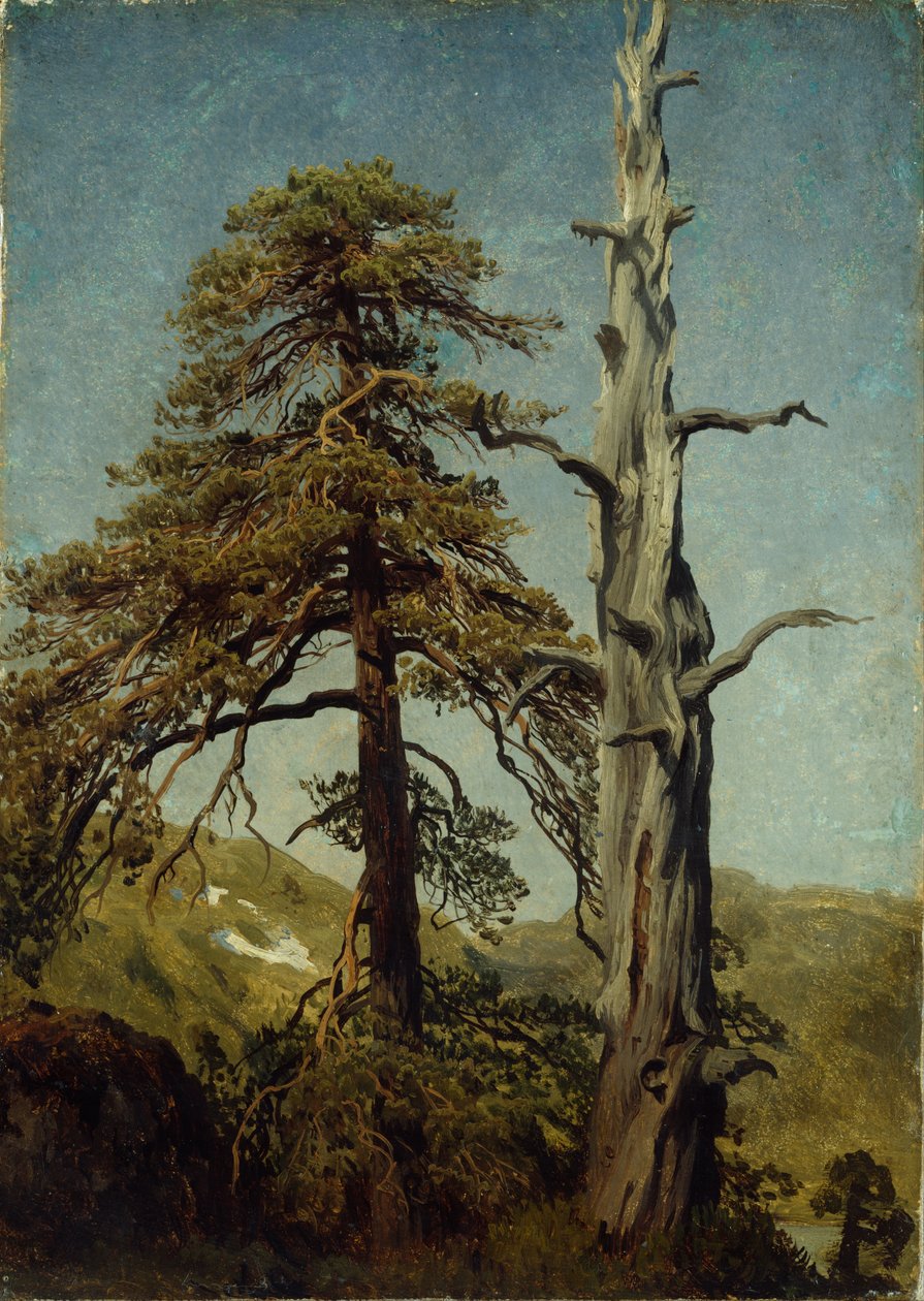 Ağaçların Çalışması by August Cappelen