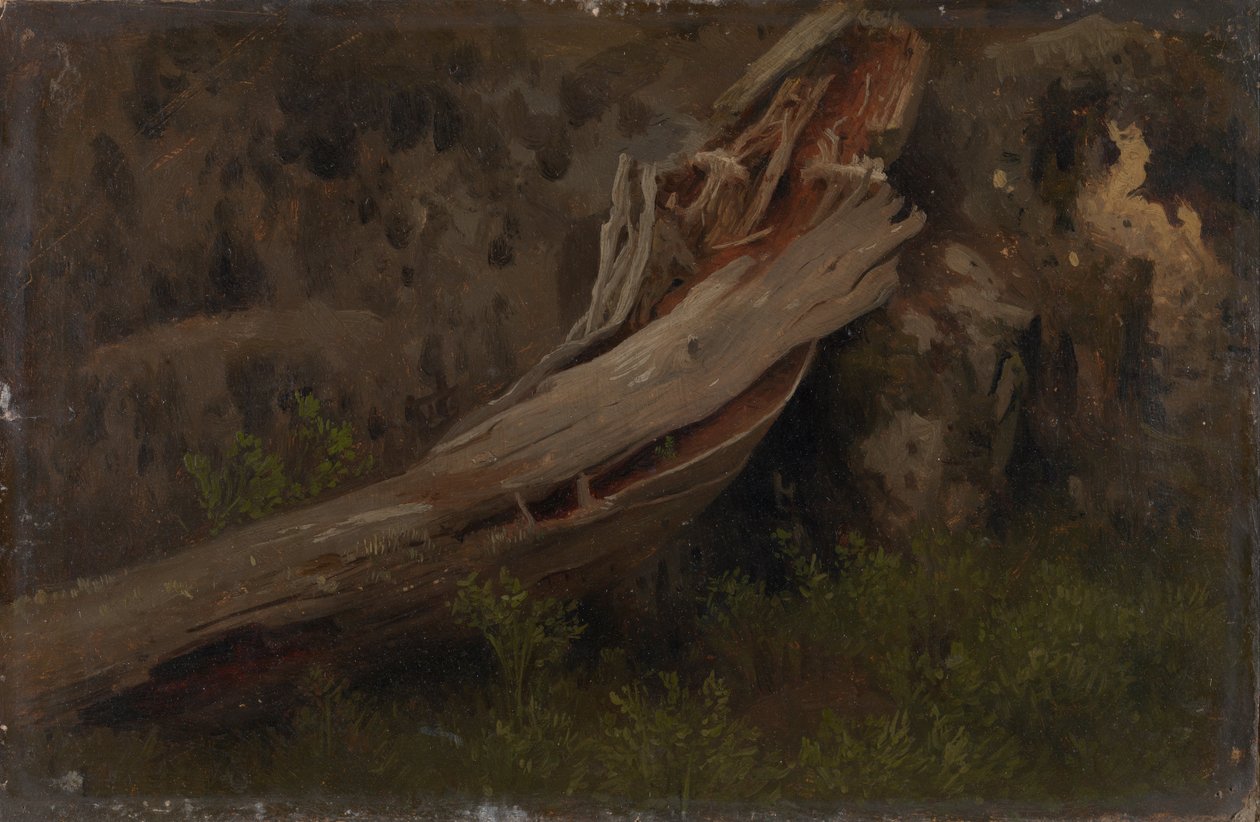 Çürüyen bir Gövde Çalışması by August Cappelen
