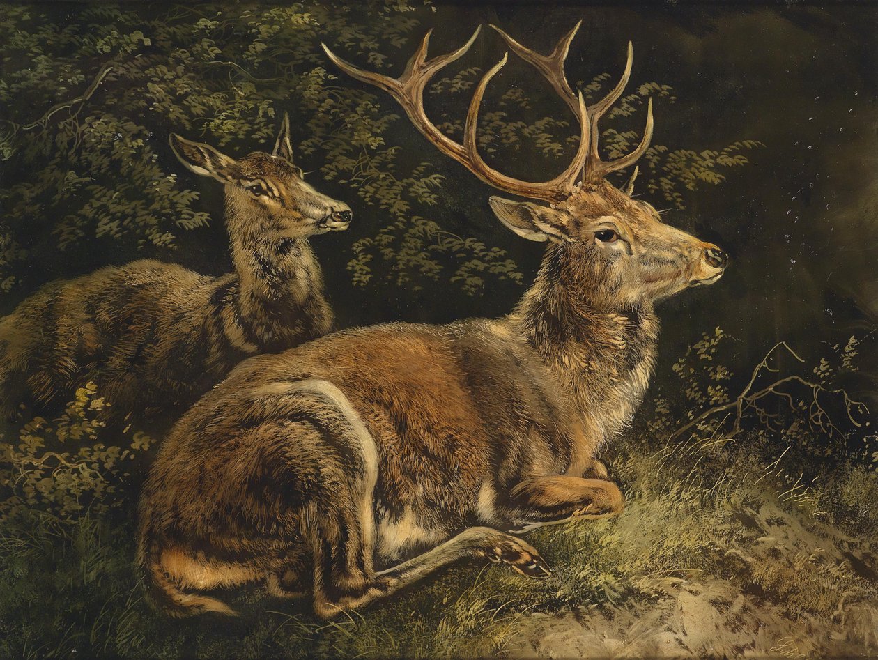 Geyik by August Schleich