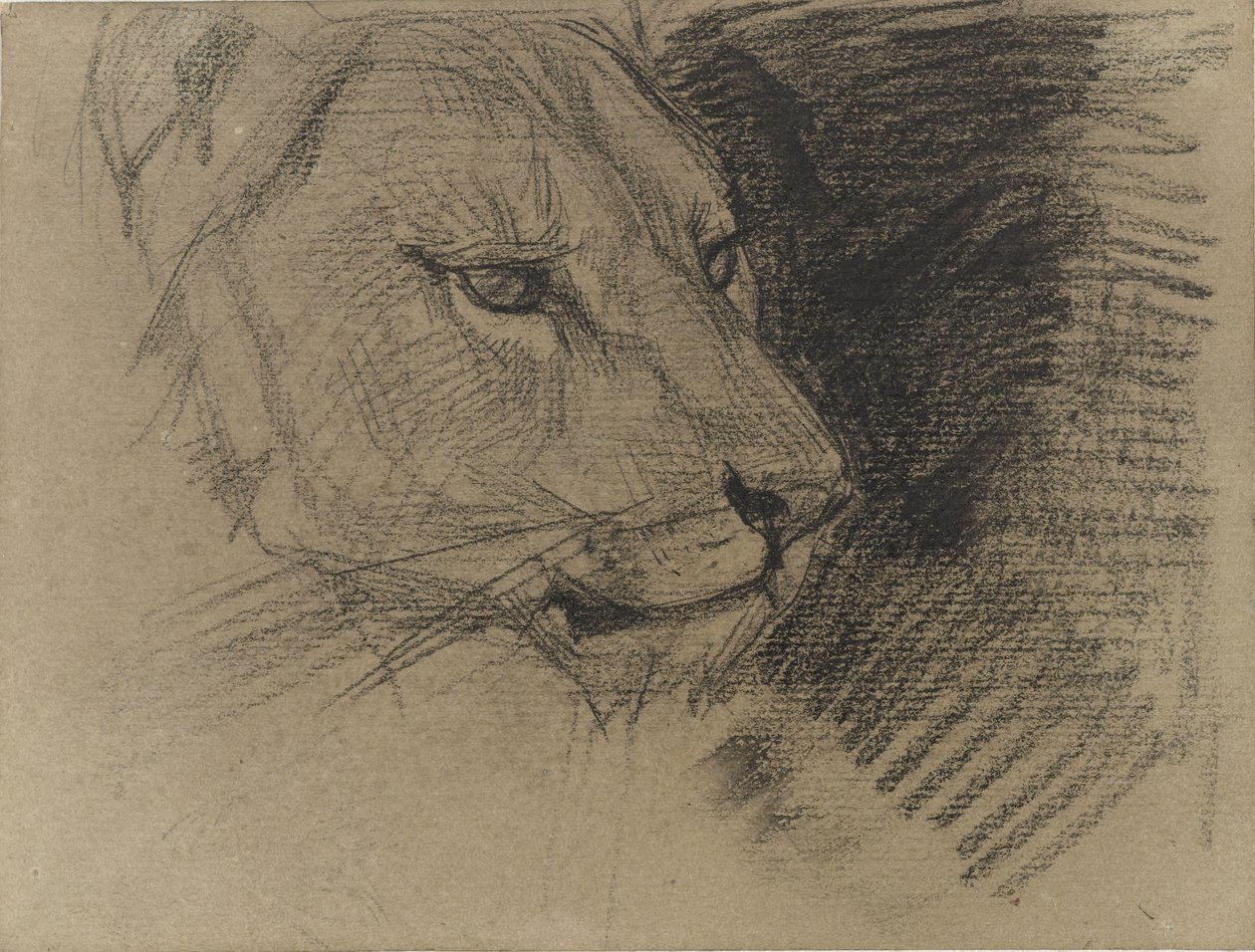 Aslan başı by August Allebe