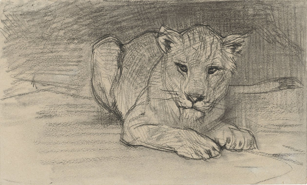 yalancı dişi aslan by August Allebe