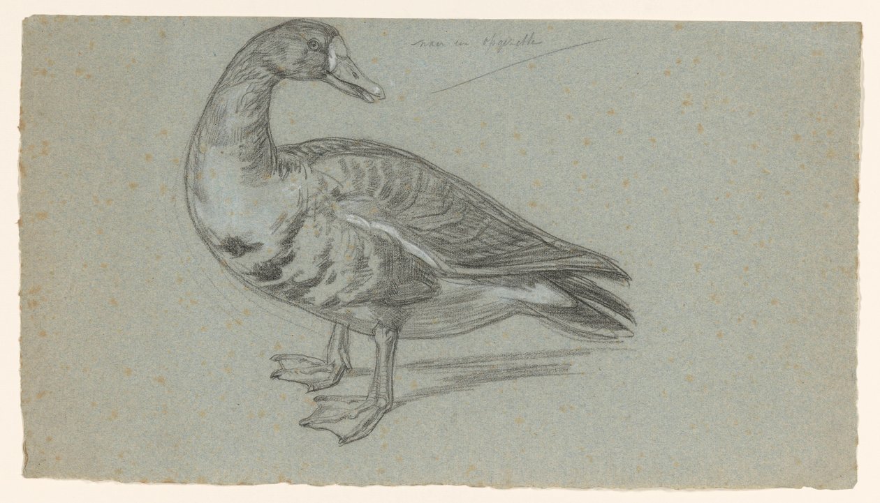 Doldurulmuş ördek taslağını by August Allebe