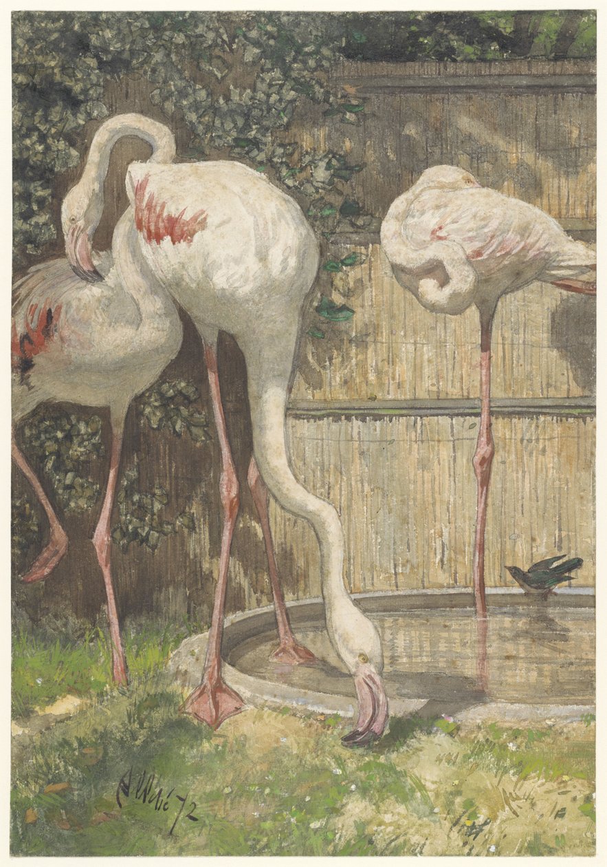 Bir Havzanın Yanında Üç Flamingo by August Allebe