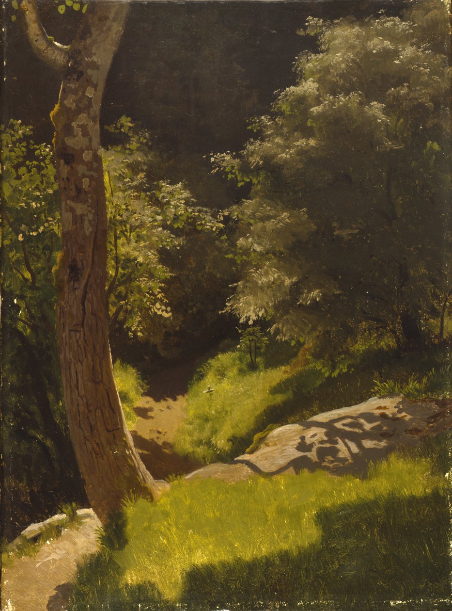 Bahçe yolu ile park manzarası (tuval üzerine yağlı boya) by August Cappelen