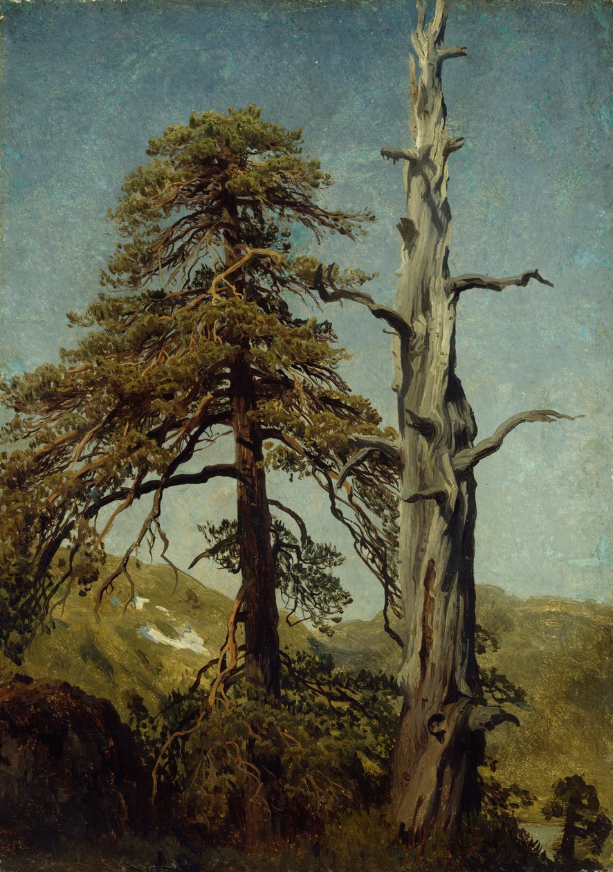 Ağaçların Çalışması by August Cappelen
