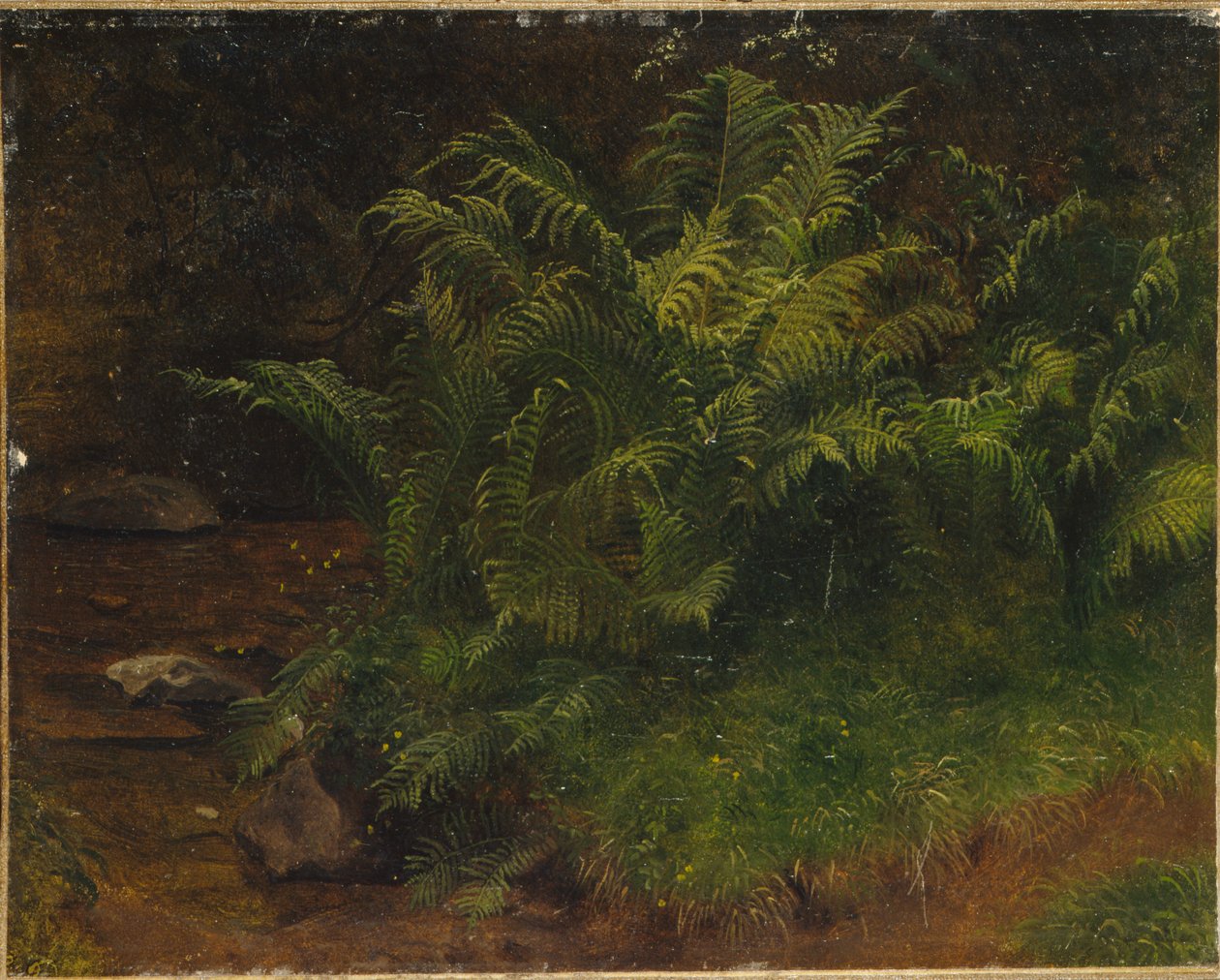 Eğrelti otu çalışması (tuval üzerine yağlı boya) by August Cappelen