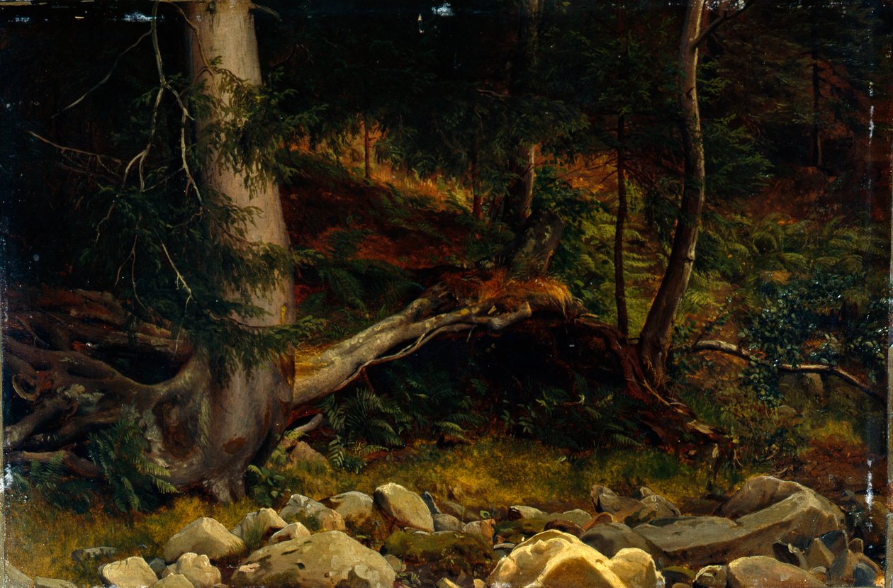  by August Cappelen