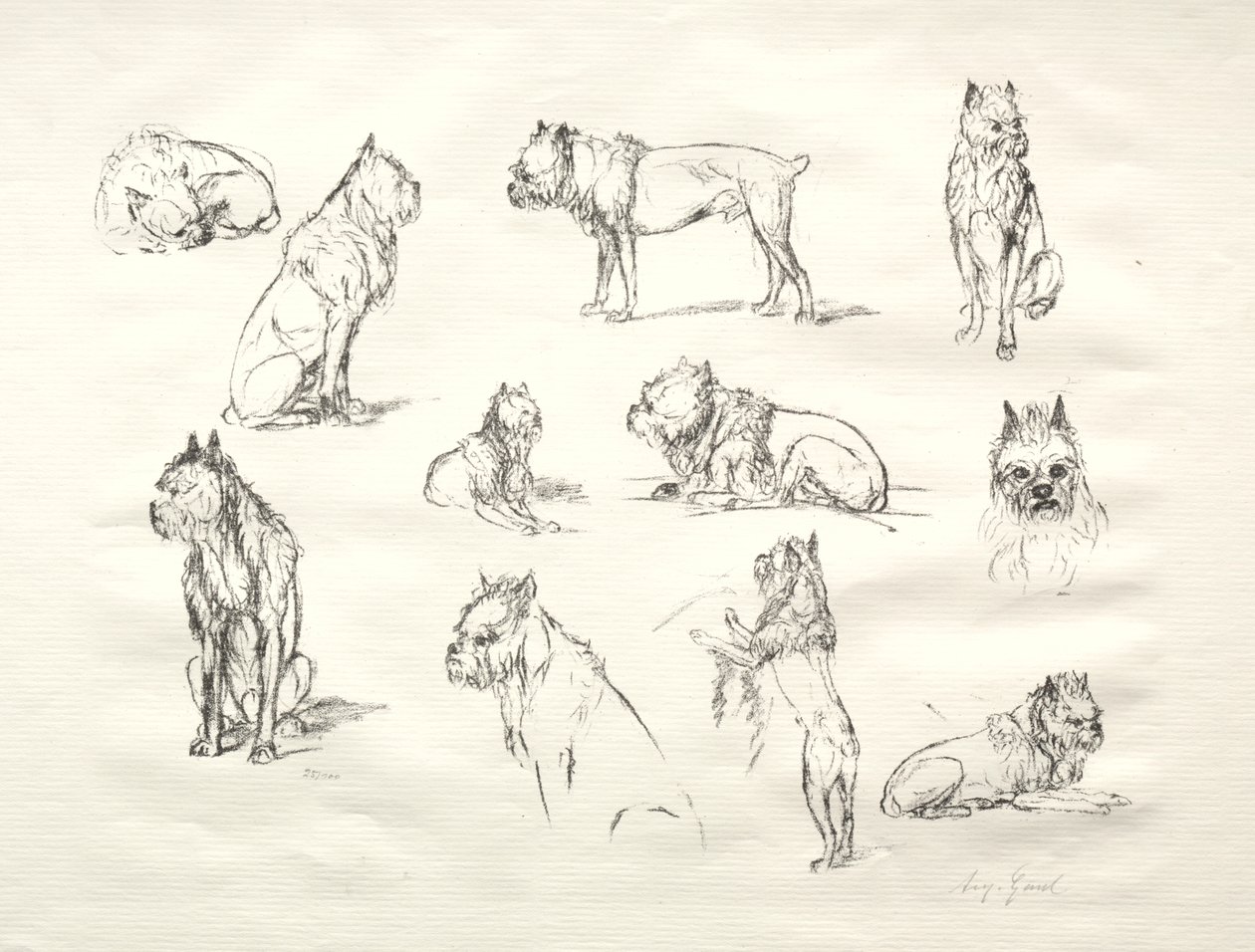 Köpeklerin Çalışması by August Gaul