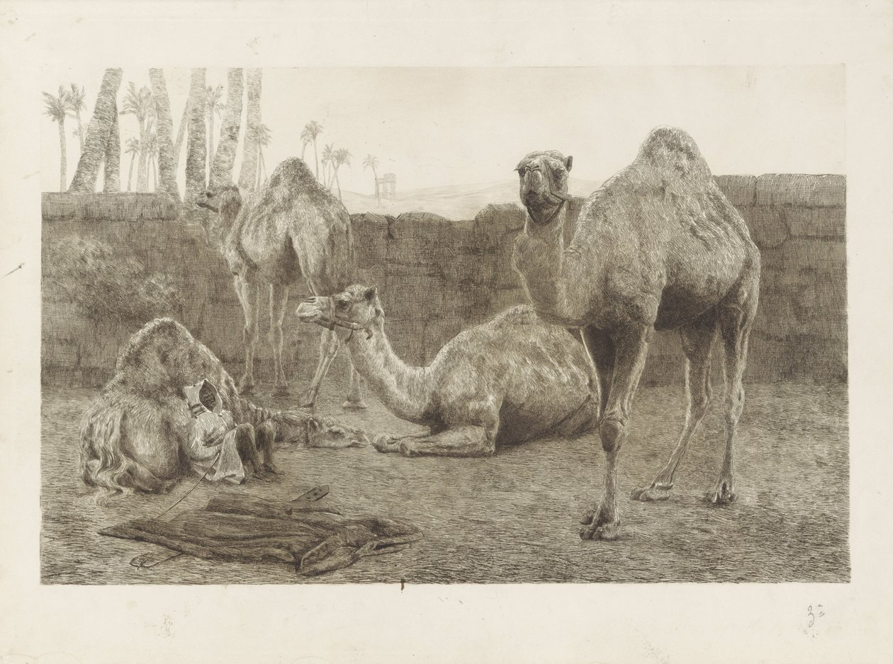 develer by August Le Gras
