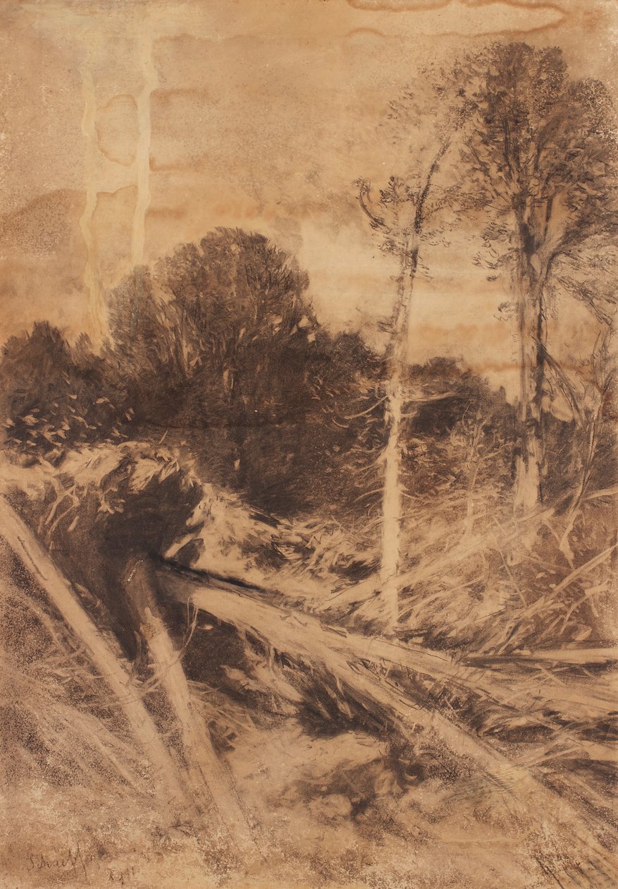 ağaç çalışması by August Schaeffer von Wienwald