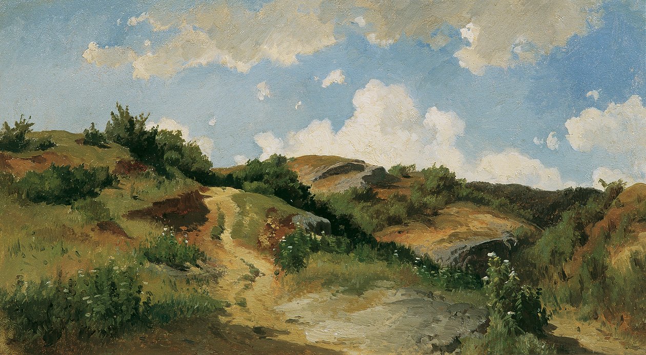 Macar manzara by August Schaeffer von Wienwald