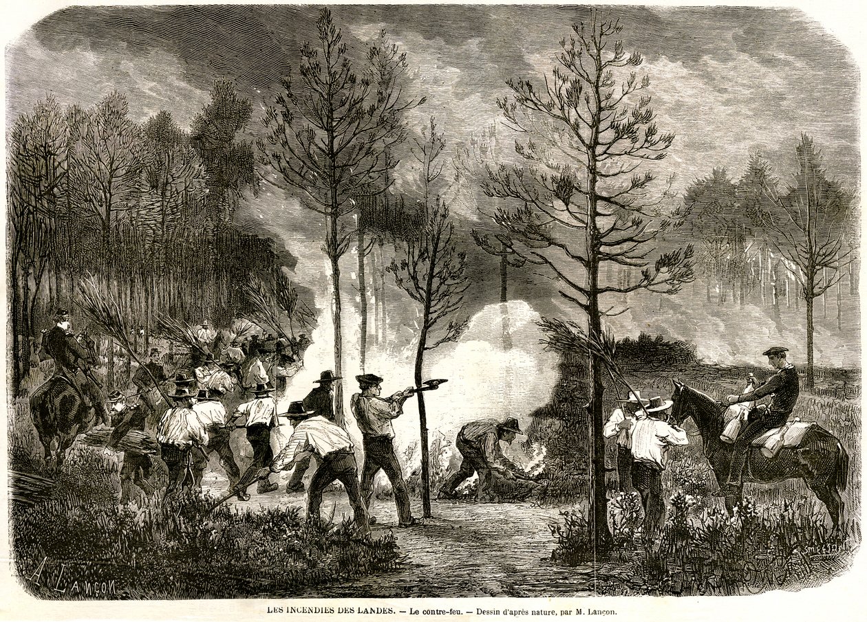 Landes'in büyük ateşi, karşı ateş by Auguste Andre Lancon