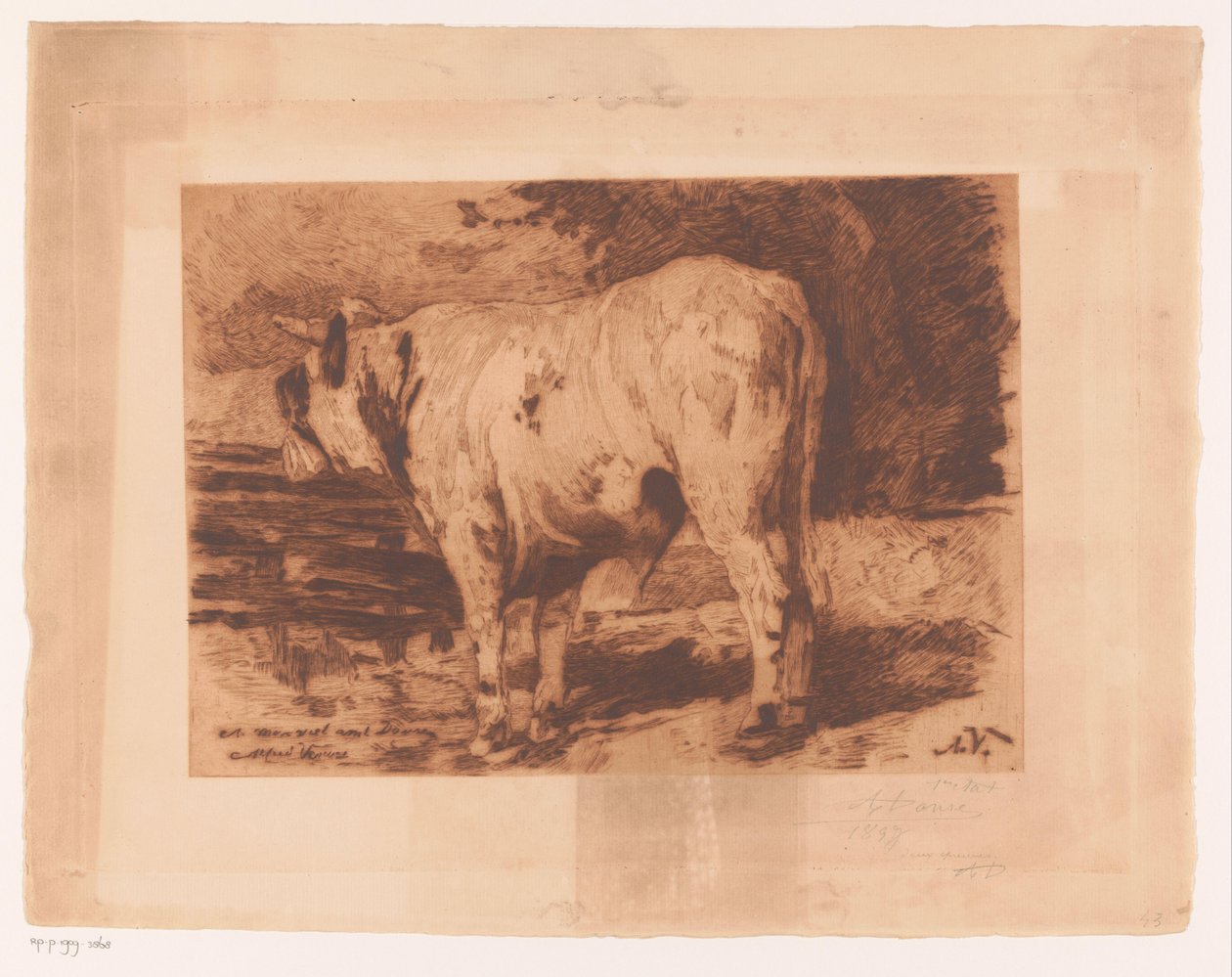 Stier in de wei by Auguste Danse (signed by artist)