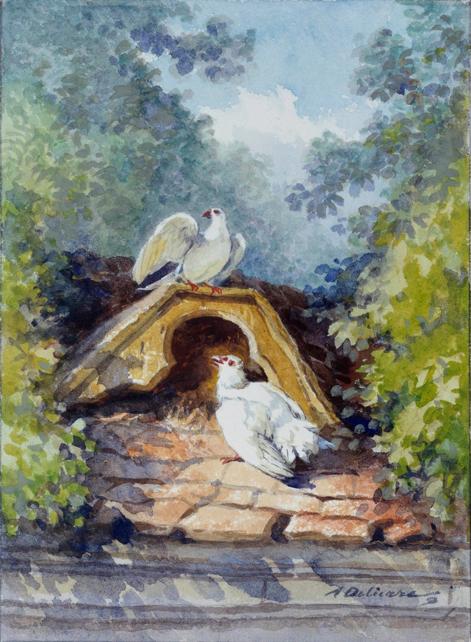 Auguste Delierre (1829-1891) tarafından Jean de la Fontaine (1621-1695) tarafından 19. yüzyıla ait masal için iki suluboya güvercin. Chateau Thierry. La Fontaine Müzesi by Auguste Delierre