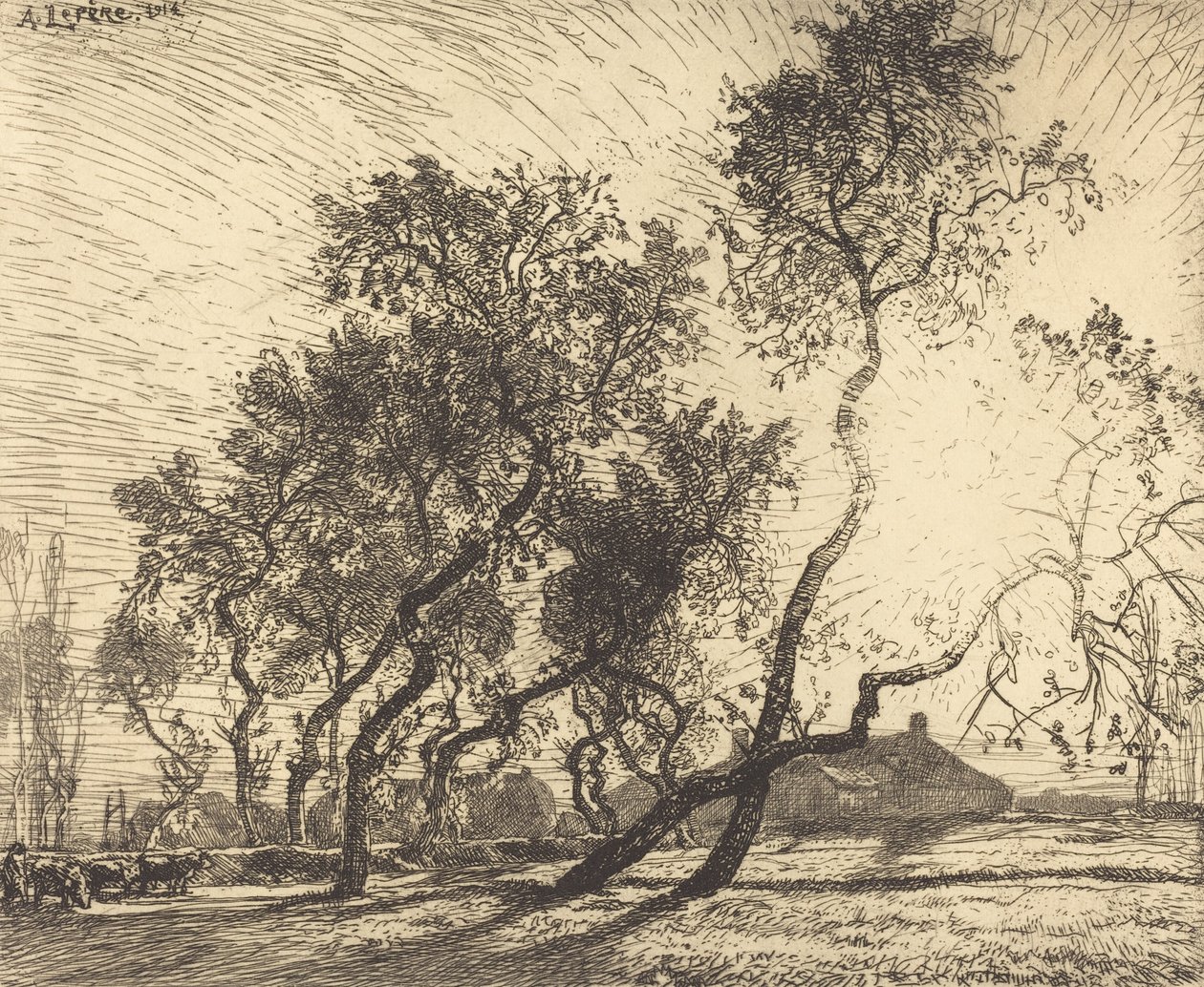 Hollanda Kavak Çiftliği, 1914. by Auguste Lepere