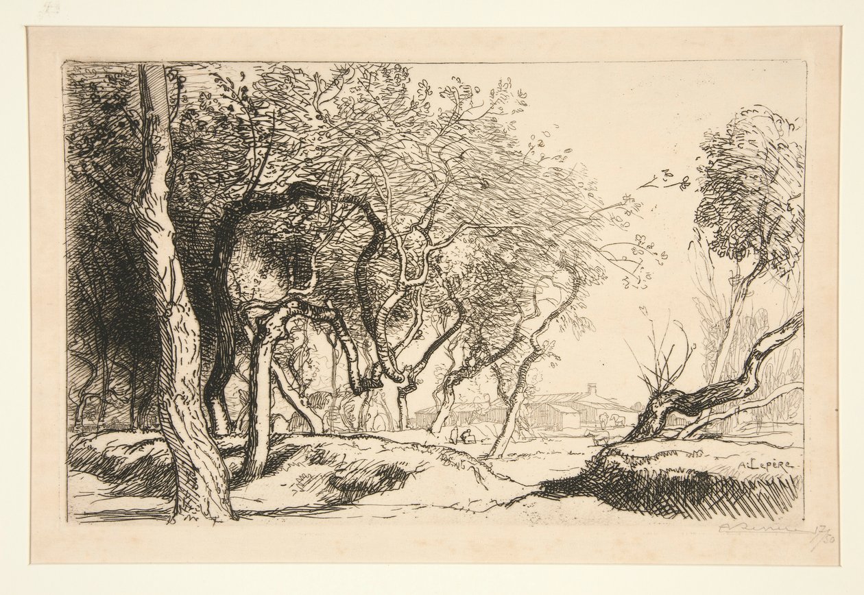 Bükülmüş Ağaçlar (Saint-Jean-de-Monts) by Auguste Lepere