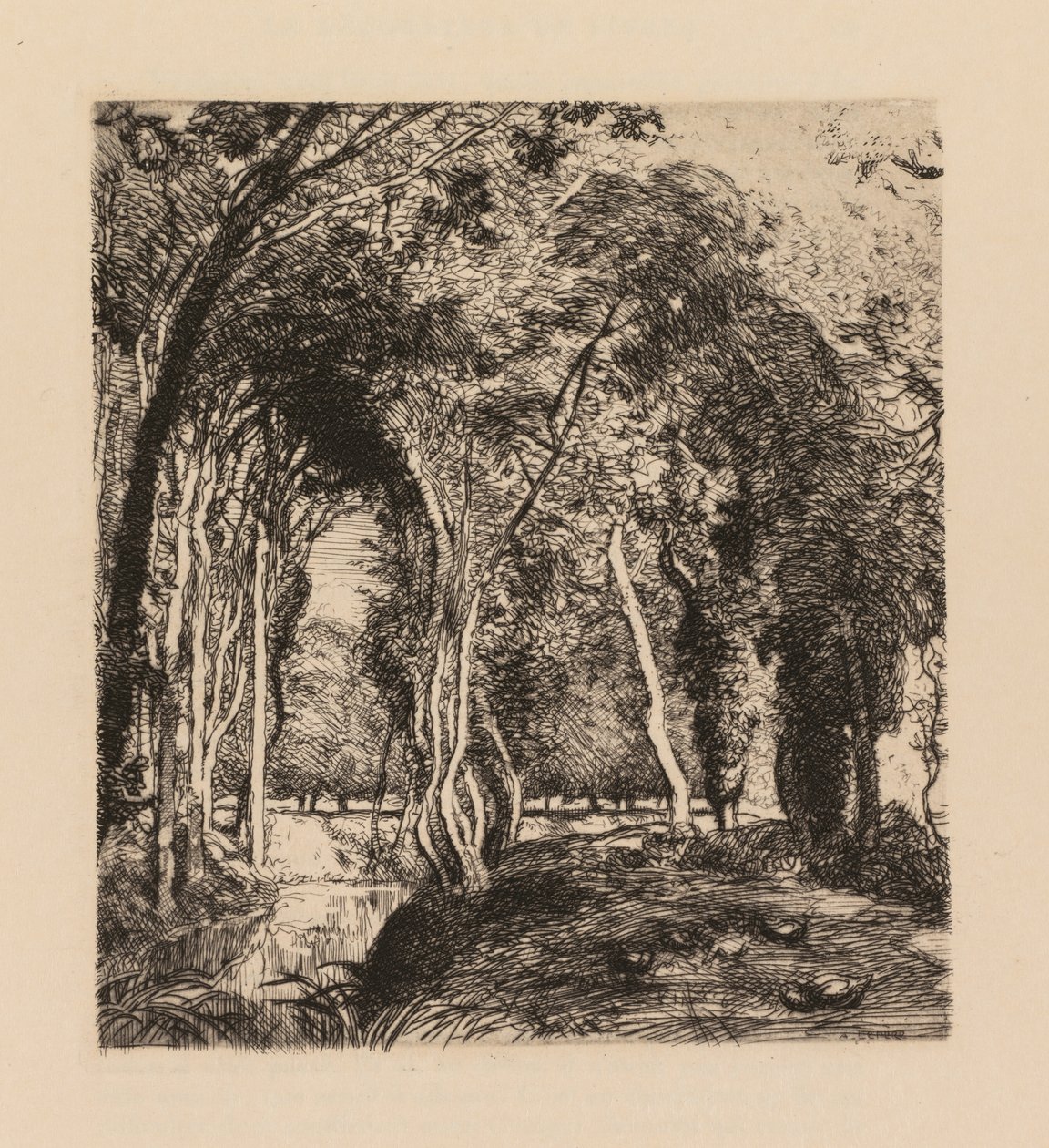 Auguste Lepère: La Rigonette