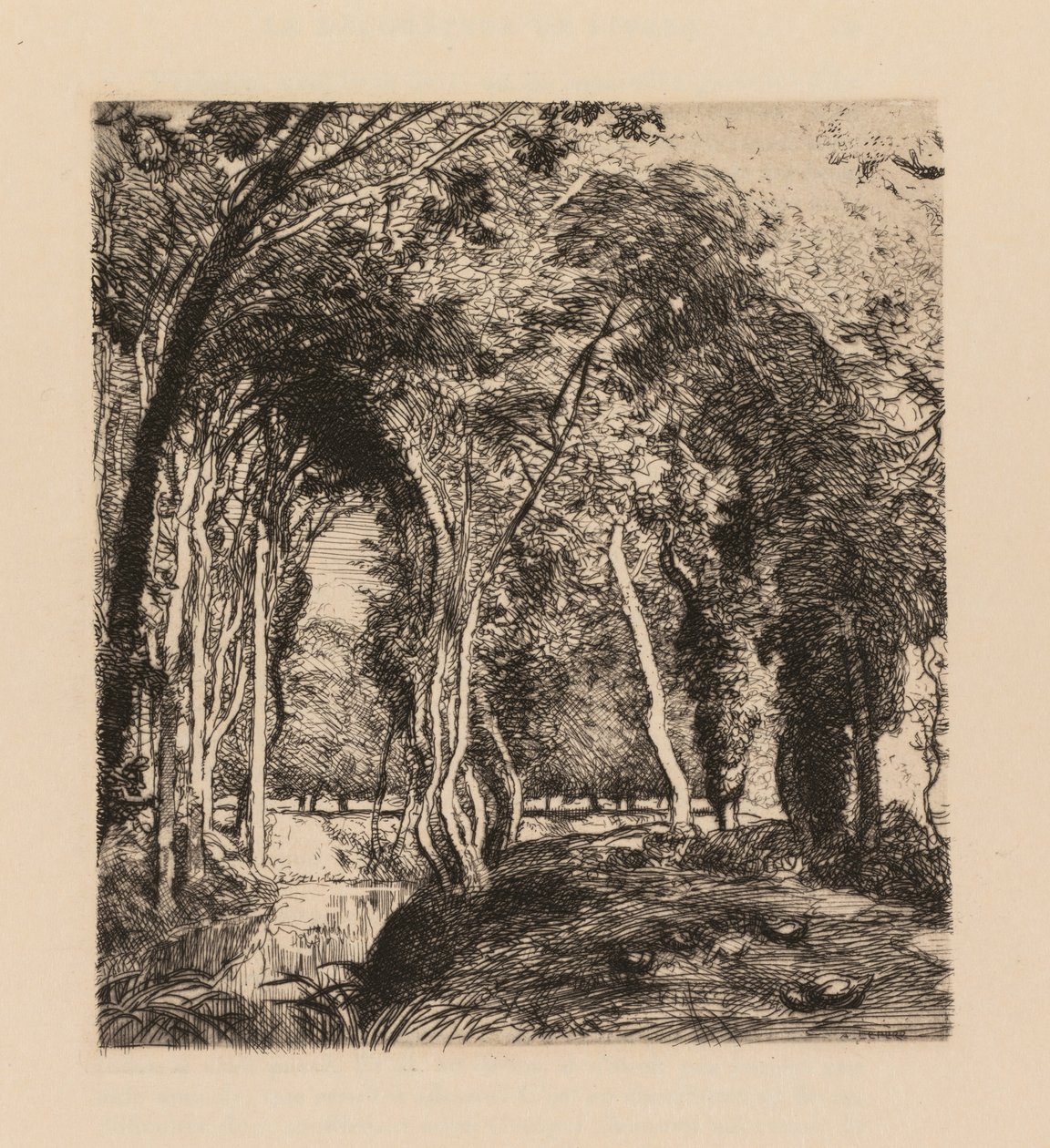 Auguste Lepère: Rigonette Vendèe