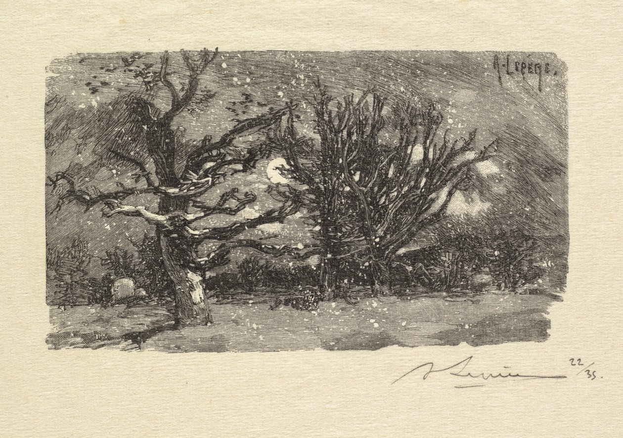 Fontainebleau Ormanı: Au dormoir de Lantara (La Forêt de Fontainebleau: Au dormoir de Lantara) by Auguste Louis Lepère