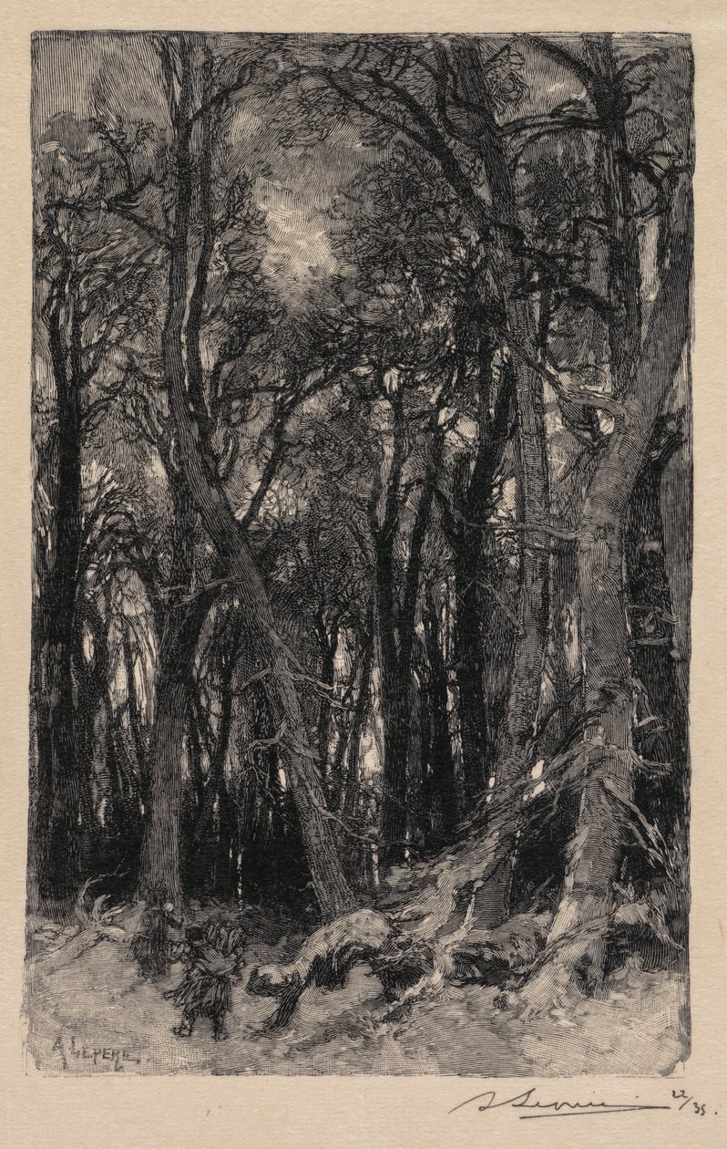 Fontainebleau Ormanı: Bas-Bréau (Fontainebleau Ormanı: Le Bas-Bréau) by Auguste Louis Lepère