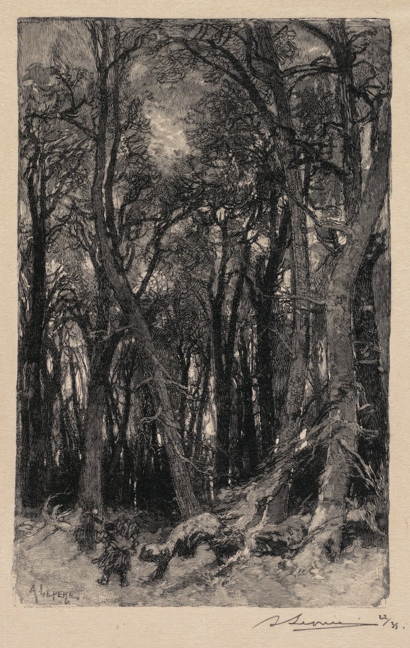 Fontainebleau Ormanı: Bas-Bréau Fontainebleau Ormanı: Le Bas-Bréau, 1890. by Auguste Louis Lepère