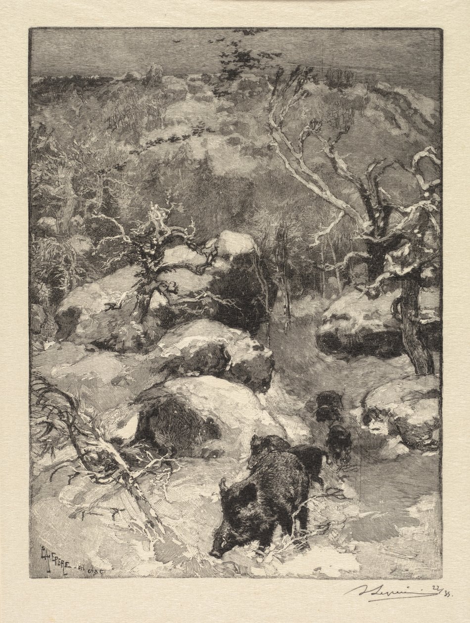Fontainebleau Ormanı: Cuvier-Châtillon Uçurumu by Auguste Louis Lepère
