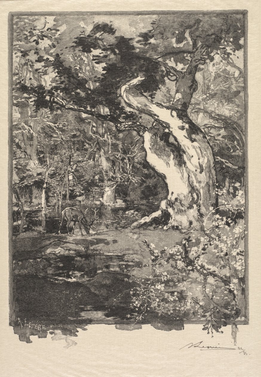 Fontainebleau Ormanı: Le Clovis, Plateau de Bellecroix (Fontainebleau Ormanı: Plateau de Belle-Çroix, le Clovis) by Auguste Louis Lepère