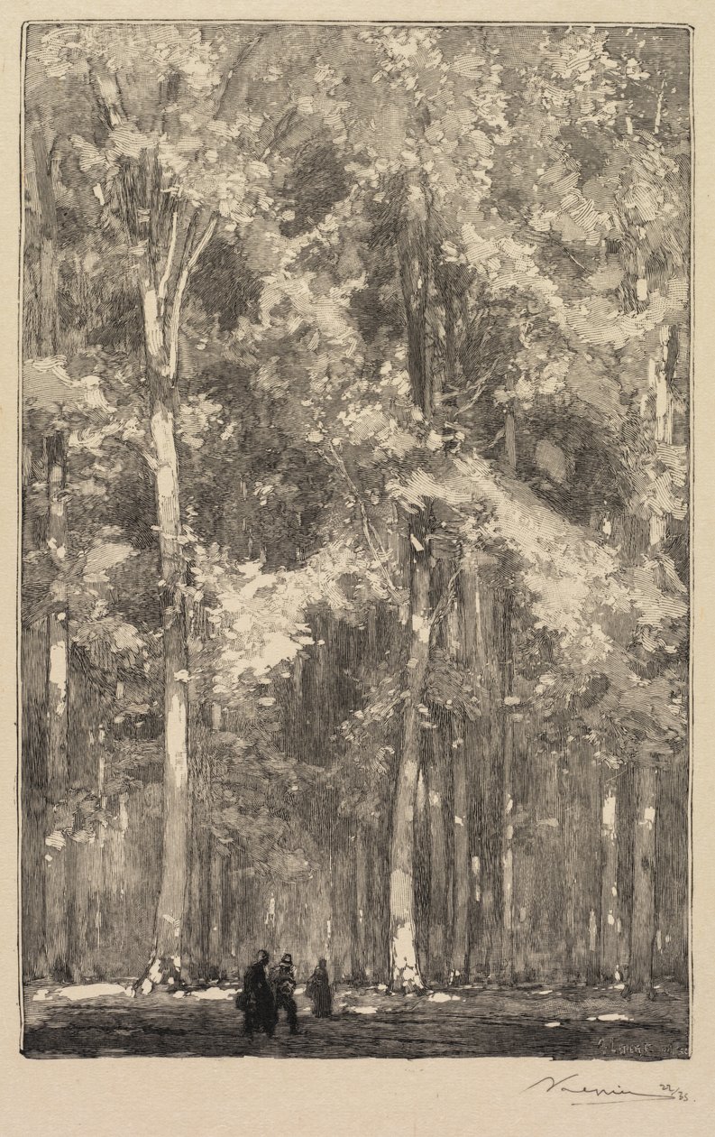 Fontainebleau Ormanı: Sabah, Forts de Marlotte Rotasının Kavşağı (La Forêt de Fontainebleau: Le Matin, Carrefour des Fort de Marlotte) by Auguste Louis Lepère