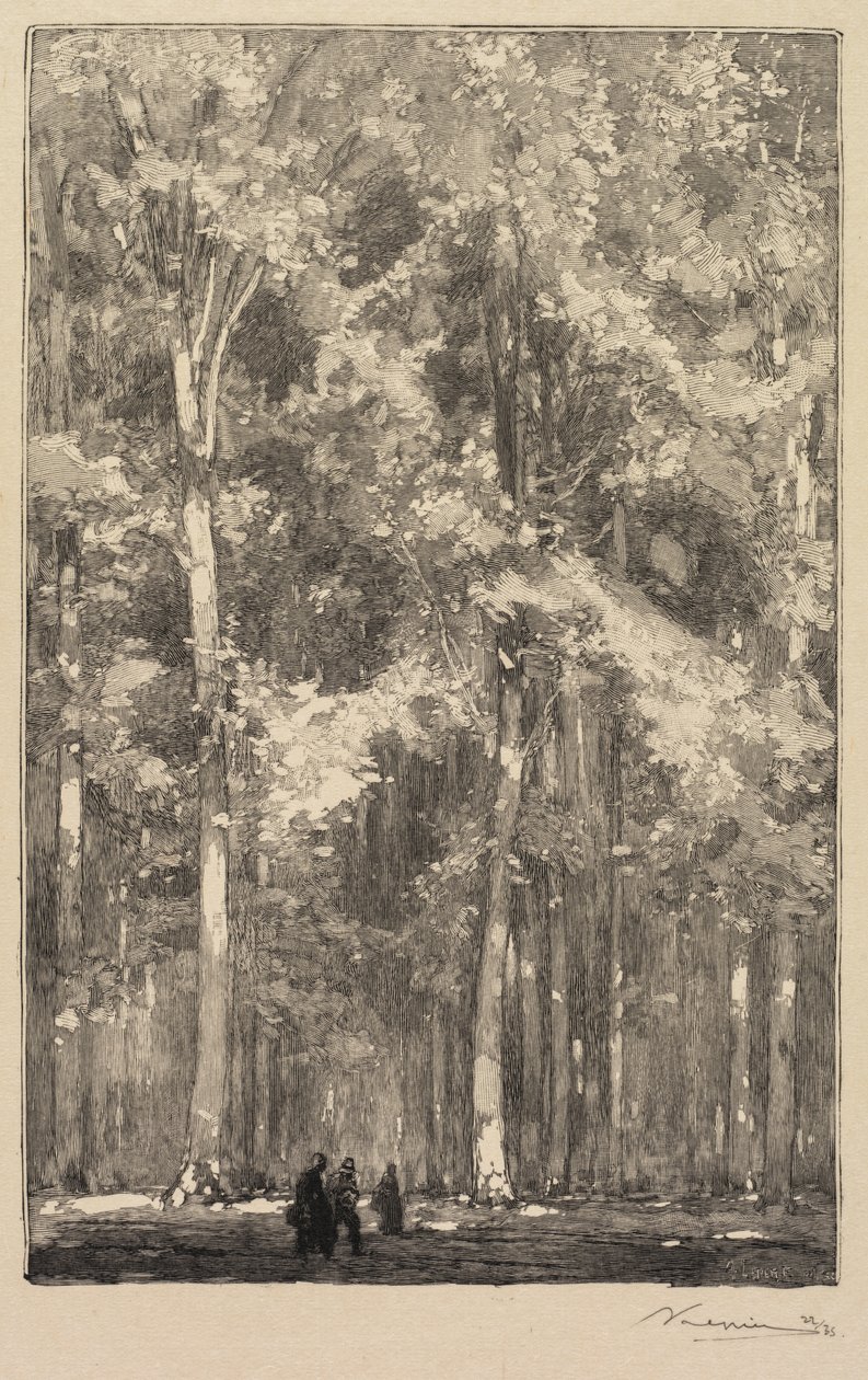 Fontainebleau Ormanı: Sabah, Forts de Marlotte Yolunun Kavşağı..., 1890. by Auguste Louis Lepère