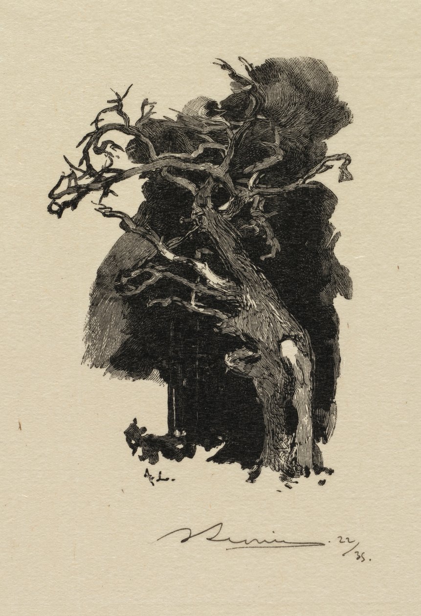 Fontainebleau Ormanı: Öfkeli Olan by Auguste Louis Lepère
