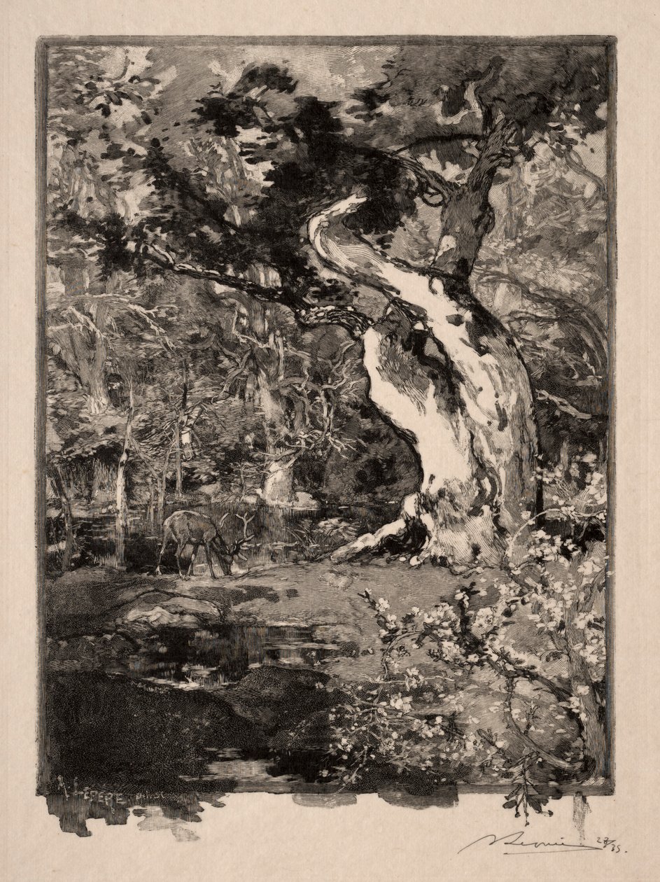 Clovis, Plateau de Bellecroix, 1890. by Auguste Louis Lepère