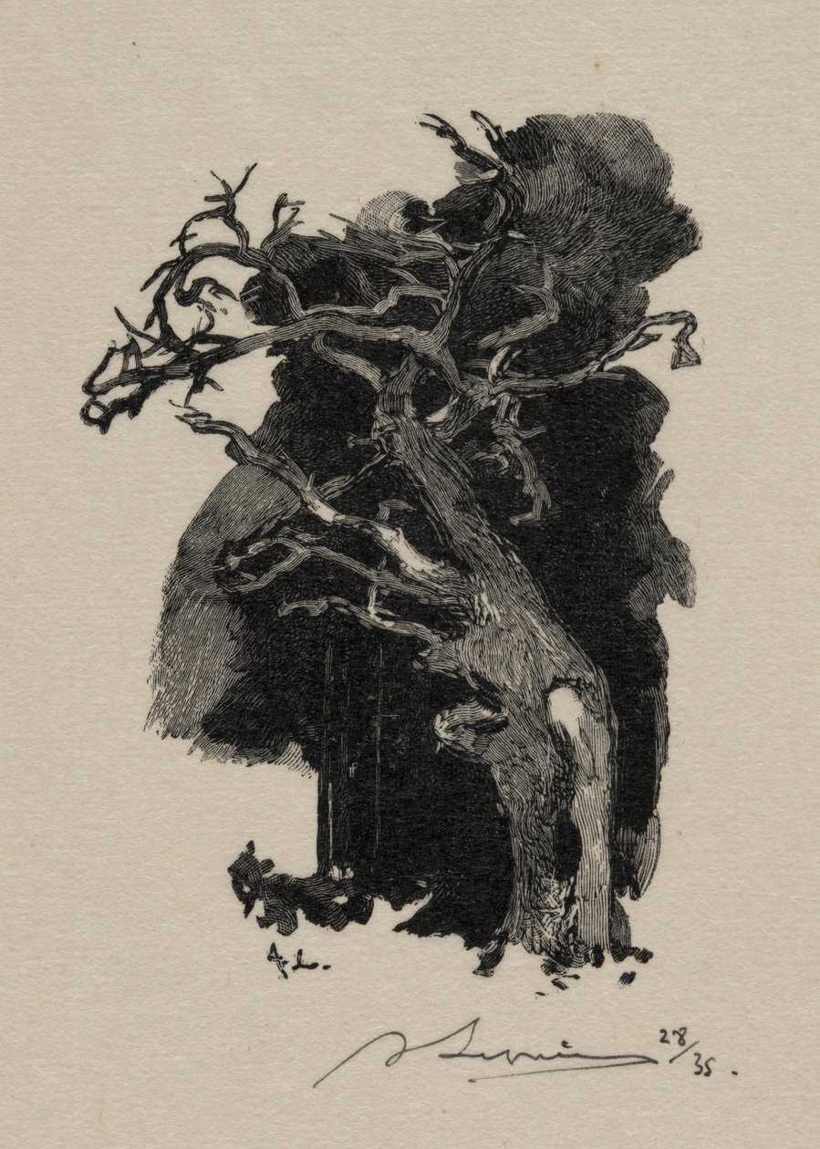 Öfkeli. by Auguste Louis Lepère