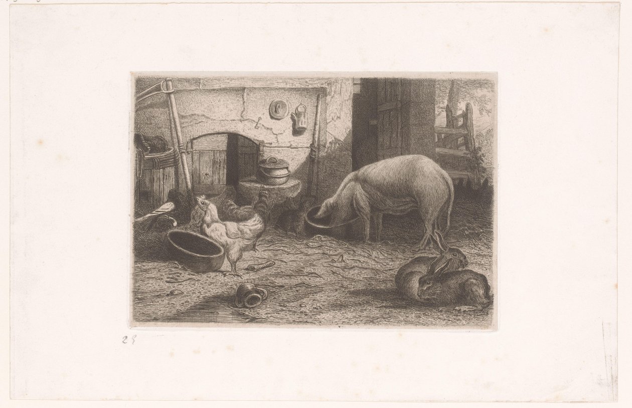 Bir ahırda domuz, tavuk ve tavşan by Auguste Numans (attributed to)