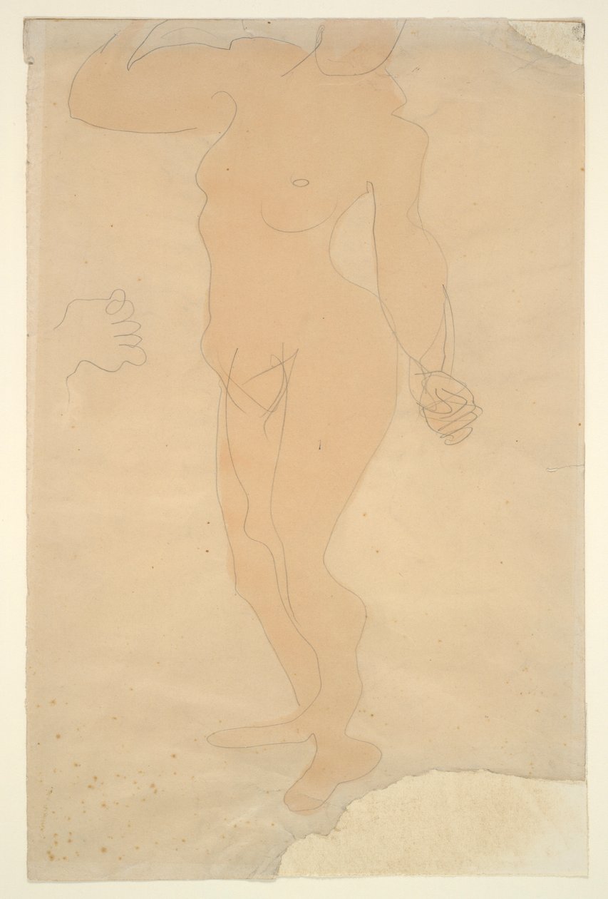 Ayakta Çıplak (kafa kağıdın kenarından kısmen kesilmiş) by Auguste Rodin