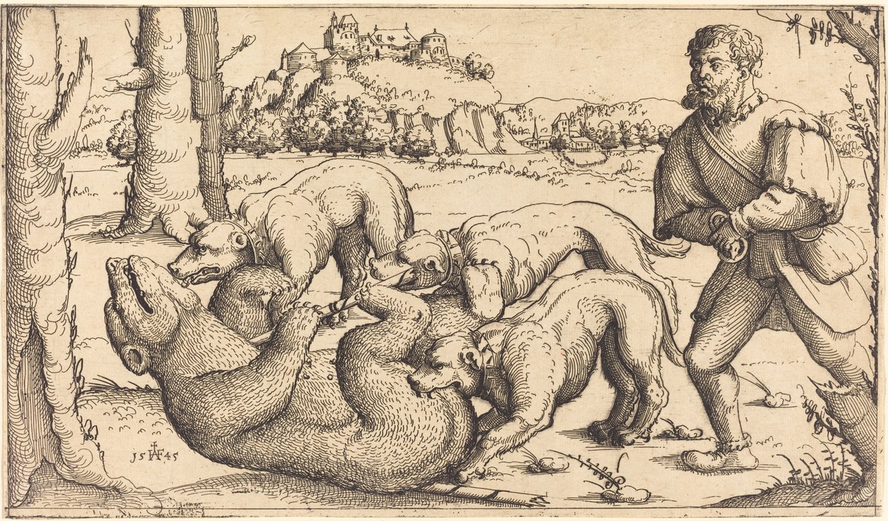 ayı avı by Augustin Hirschvogel
