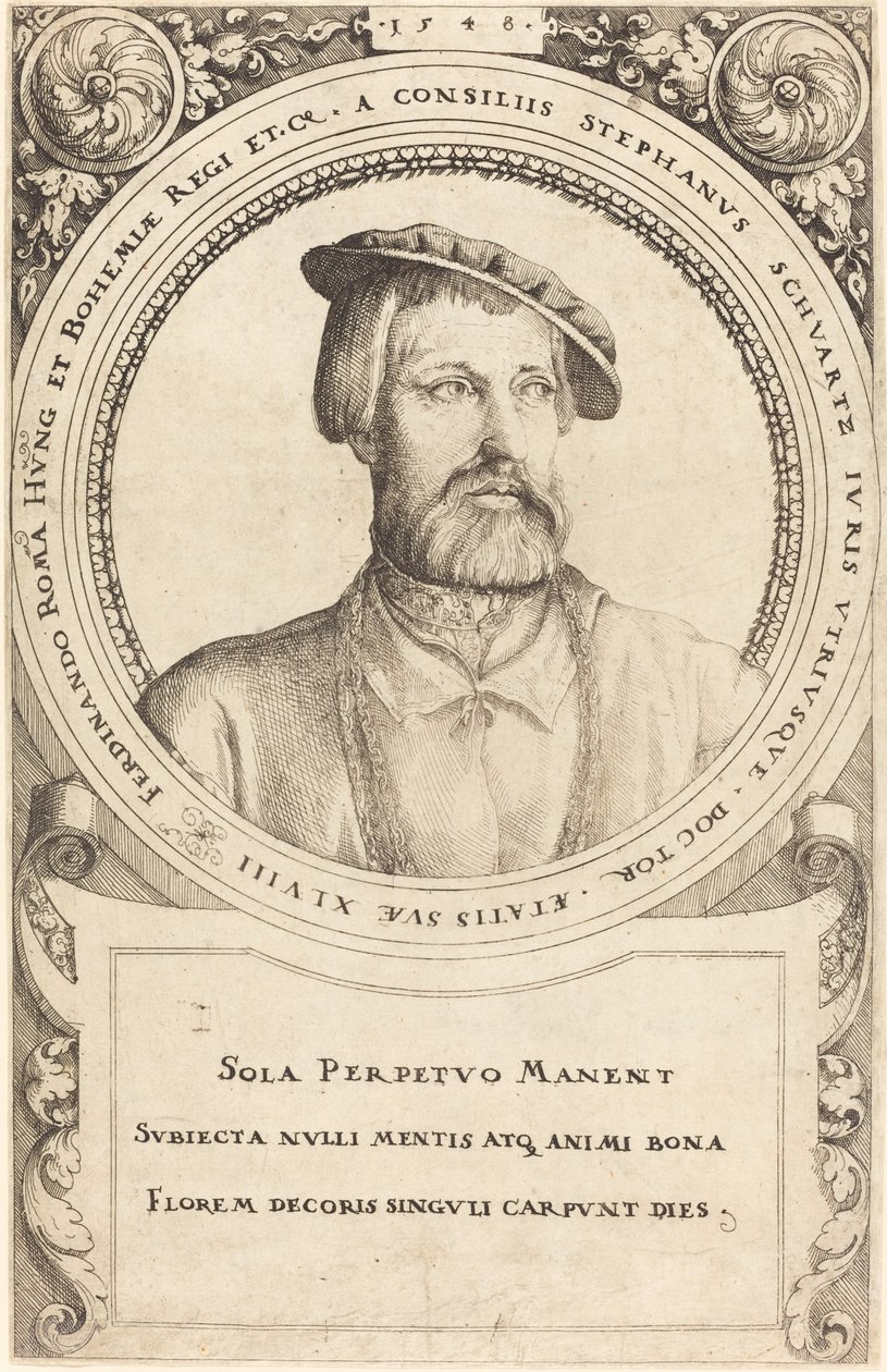 Doktor Stephen Schwartz, 1548. by Augustin Hirschvogel