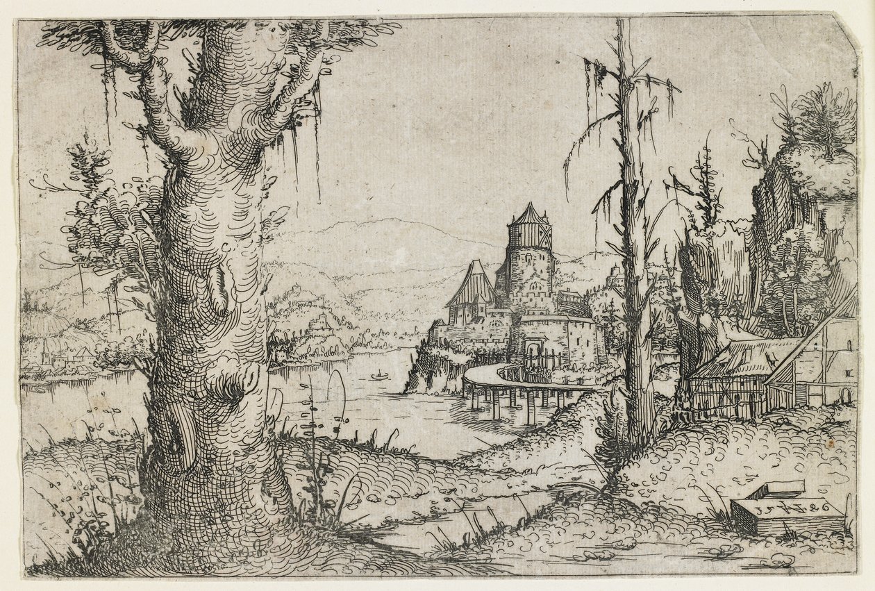 Gölde Büyük Ağaç ve Kale by Augustin Hirschvogel