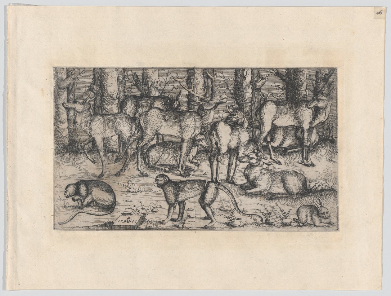 Ormandaki Geyikler, 1545. by Augustin Hirschvogel