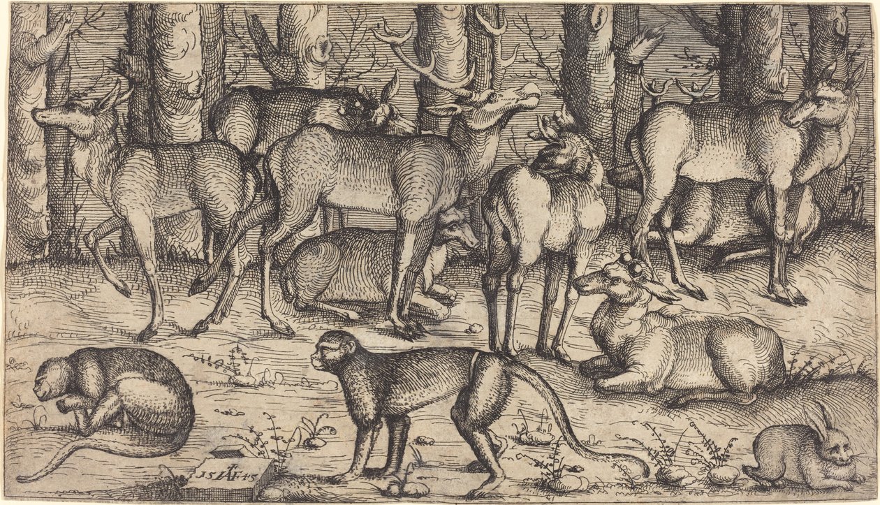 Ormandaki Geyikler, 1545. by Augustin Hirschvogel